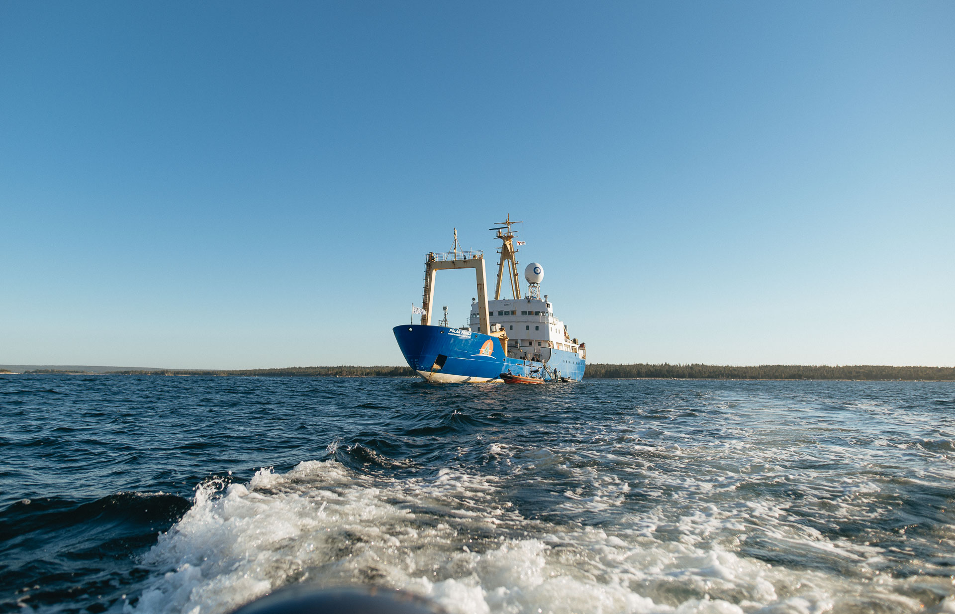 Learn More About Our Organization