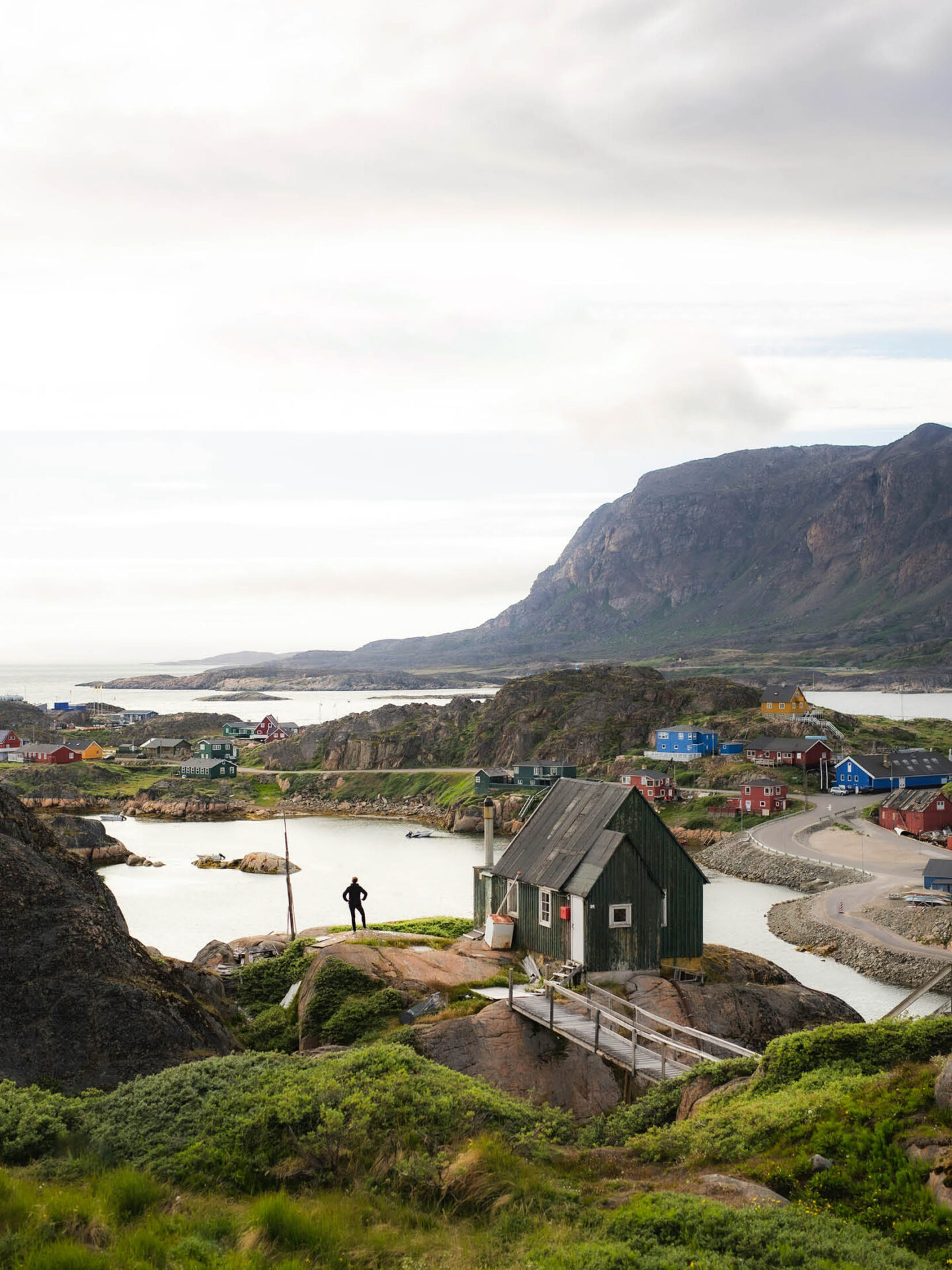 Nordic arctic programme