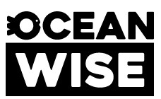 compnay logo